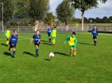 S.K.N.W.K. JO11-1JM - Colijnsplaatse Boys JO11-1 (competitie) seizoen 2022-2023 (najaar - 1e fase)) (56/69)
